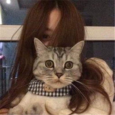 抱着猫的高颜值女生微信头像