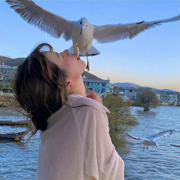 小动物与美女的个性微信头像