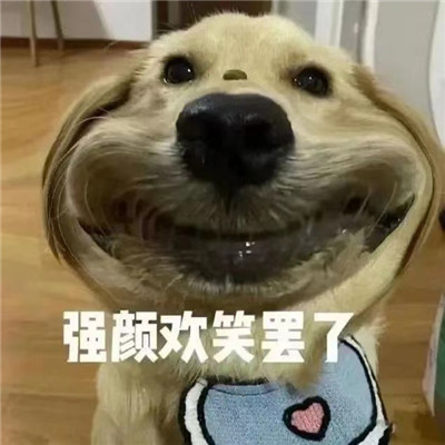 大冤种表情包合集