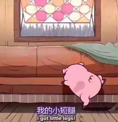 可爱小猪微信表情包