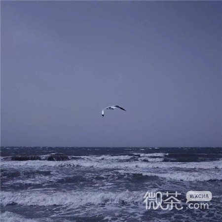 伤感ins风的大海微信朋友圈配图