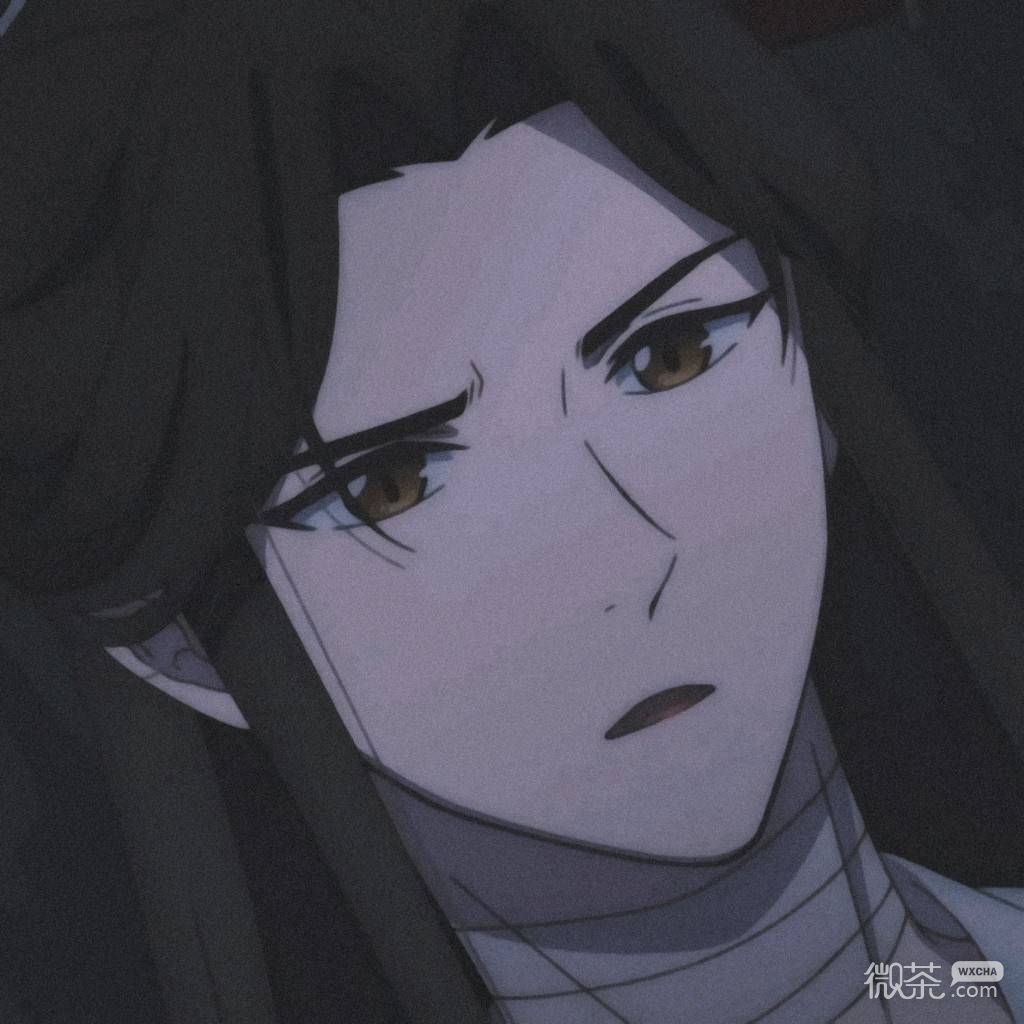 《天官赐福》仙乐太子谢怜微信头像