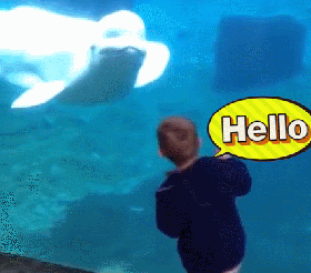 搞笑好玩有趣的小萌娃微信表情包