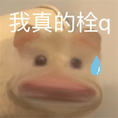 斗图专用的聊天表情