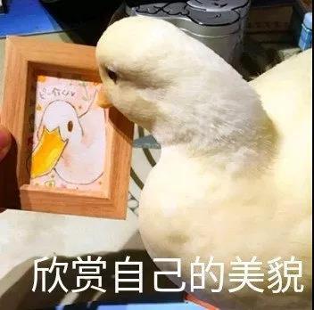 最新沙雕搞笑斗图微信表情包