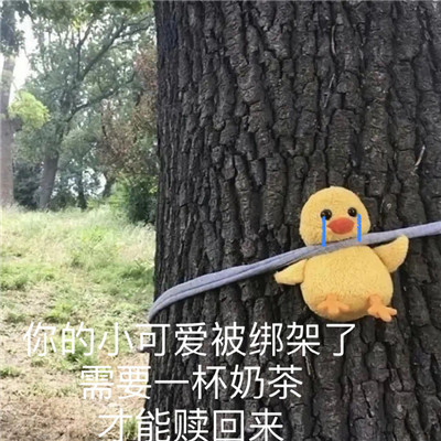 沙雕实用性很高表情包