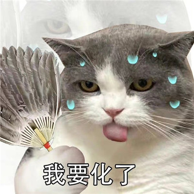 热门搞笑沙雕表情包