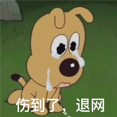 近期超爱用的热门表情包