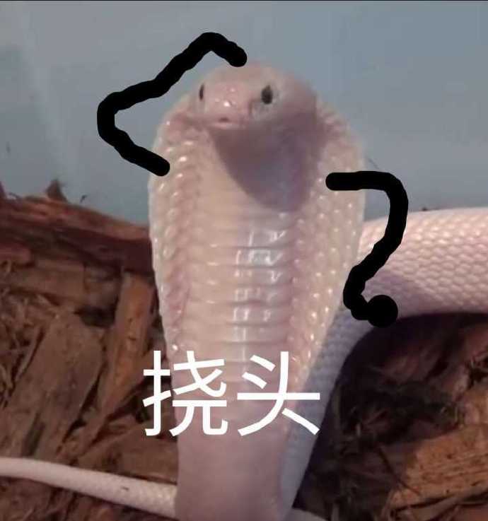 挠头系列微信表情包