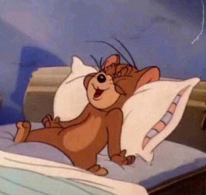 猫和老鼠睡觉睡到自然醒的微信头像