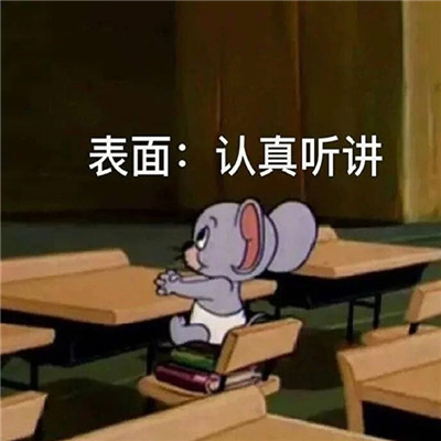 网络最火的表情合集