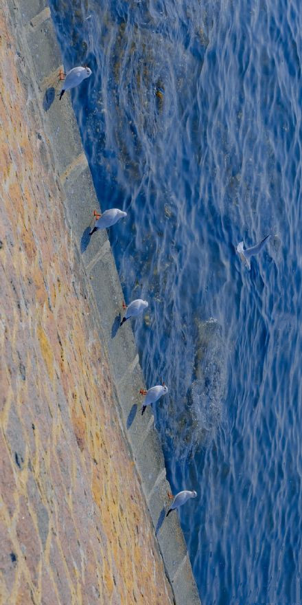 非常治愈好看的微信朋友圈背景图