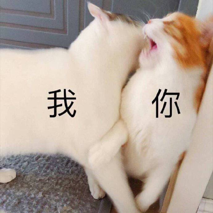 2021可永久使用的最新搞笑微信表情包