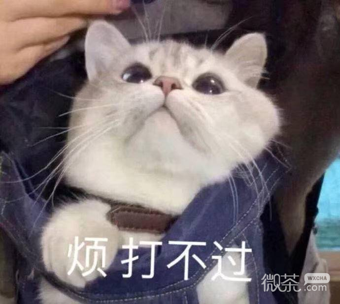沙雕可爱聊天微信表情包
