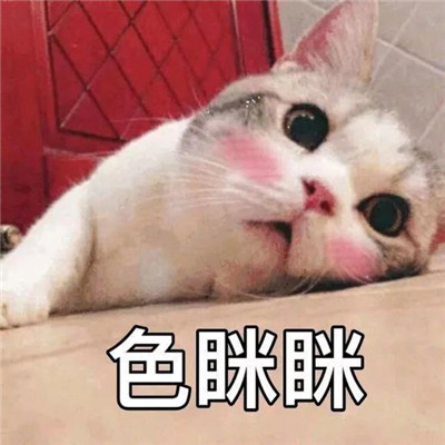 网络热门憨憨表情包