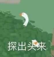 可爱暴躁的沙雕大鹅微信表情包