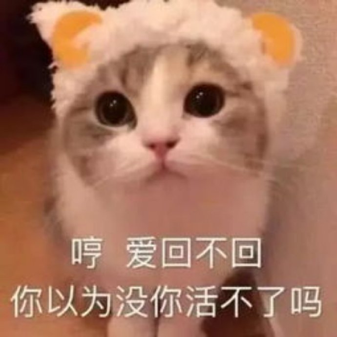 怼人耍赖小猫咪微信表情包