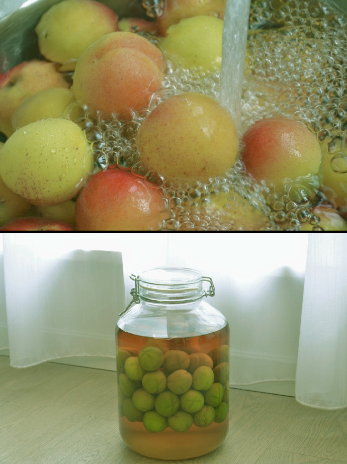 清新治愈的绿色系聊天背景图