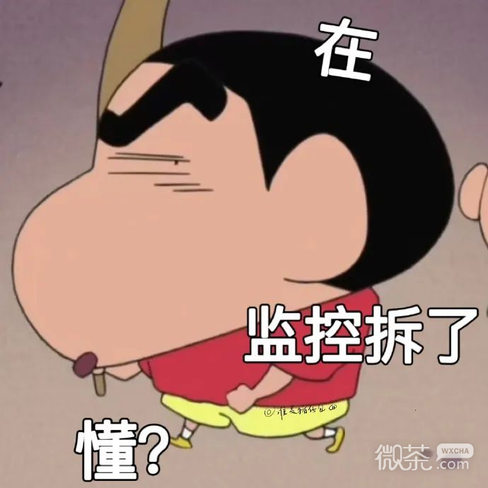 蜡笔小新系列表情包：每个都很实用