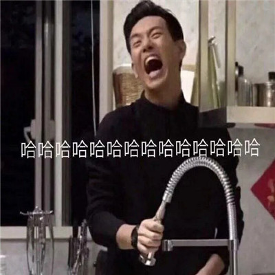 超开心的哈哈哈哈斗图微信表情包