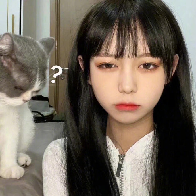 逗猫的可爱女生微信头像