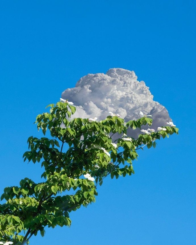 超美的景色遐想微信头像