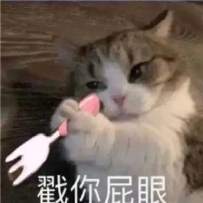 全网最沙雕的有趣搞怪表情