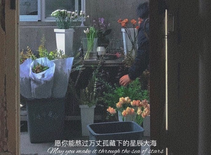 森系唯美风景微信背景图