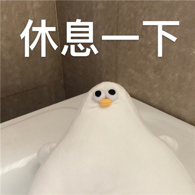 魔性海鸥搞笑微信表情包