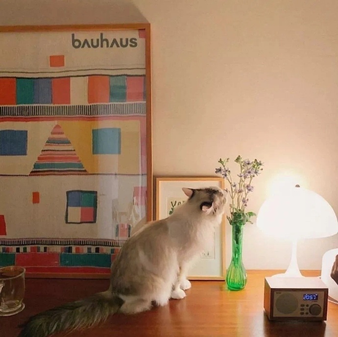 简单美好祝愿的微信聊天背景图