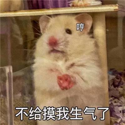 情侣之间发的色色聊天表情