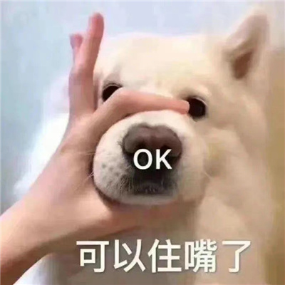 热门好笑又很欢乐的表情