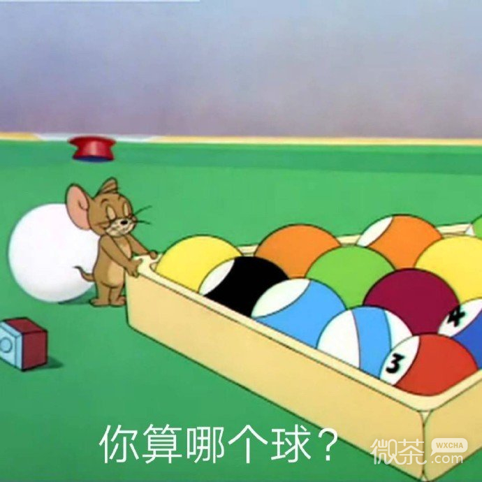 猫和老鼠撩人怼人微信表情包