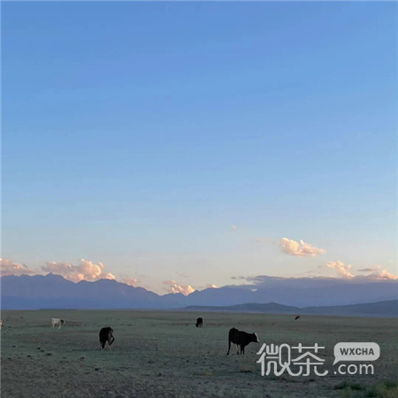 高级感又很简约的风景背景图