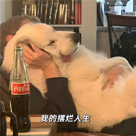 带有文案的好看背景图