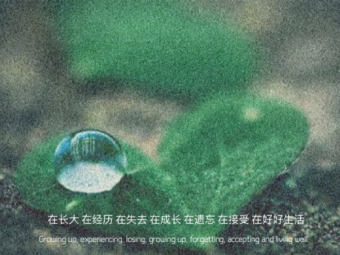 精选优质的微信聊天背景图