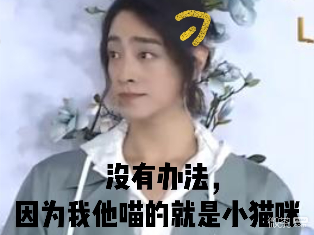 郑云龙萌萌哒微信表情包
