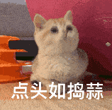 超可爱的小猫咪动态微信表情包