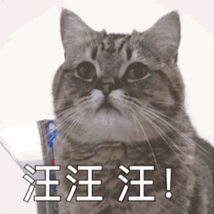 沙雕动态小猫猫微信表情包