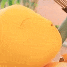 奶凶奶凶的奶龙可爱动态微信表情包