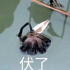 最新最近搞笑微信表情包