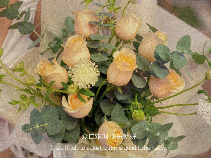 精选优质的微信聊天背景图