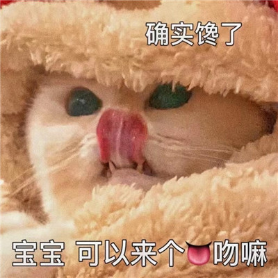 情侣之间发的色色聊天表情