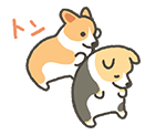 超可爱的柯基宝宝卡通微信表情包