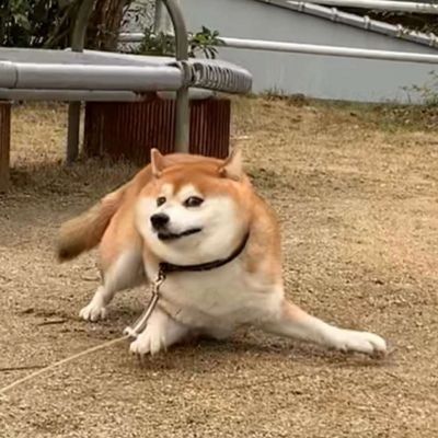 搞怪恶搞个性微信头像