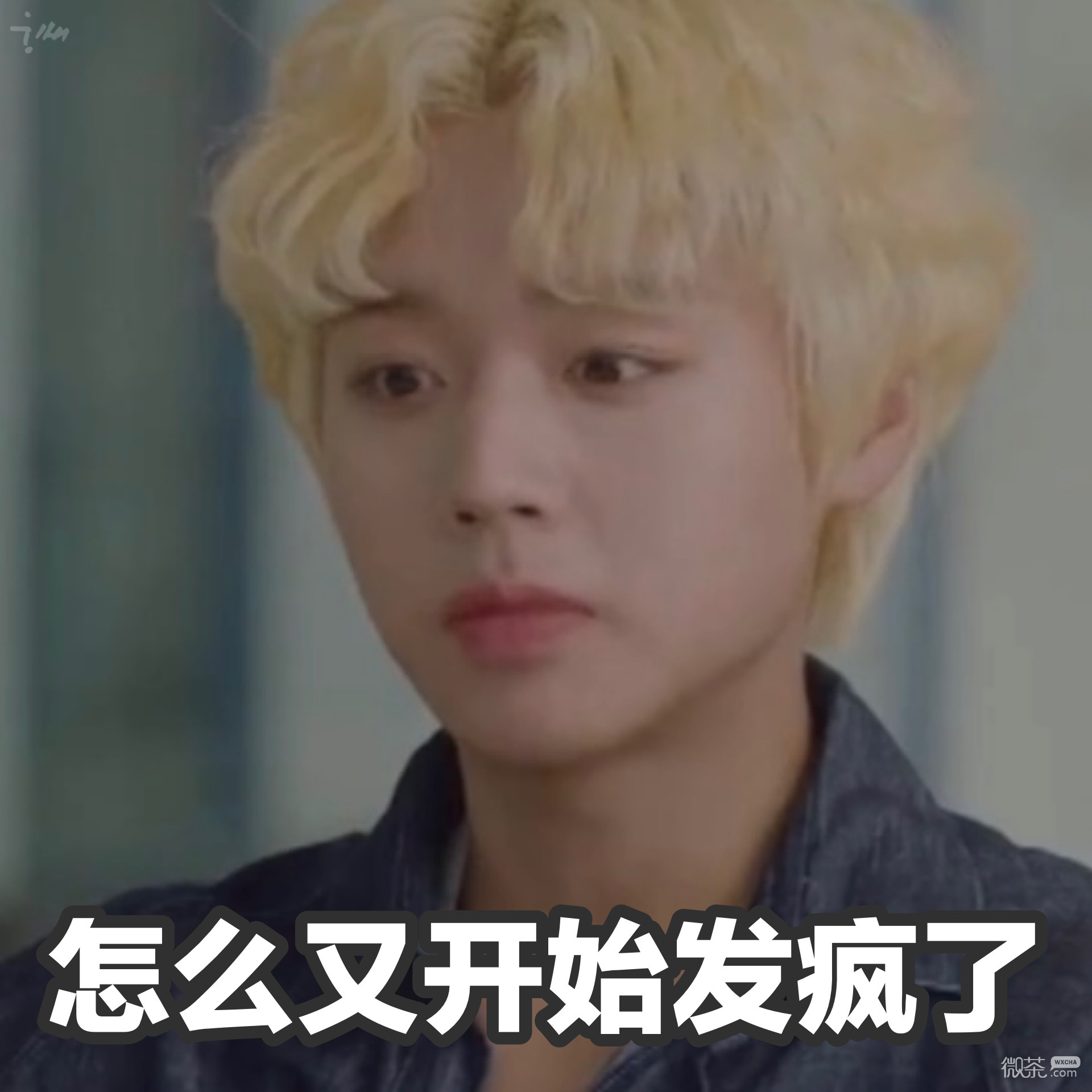 朴志训可爱微信表情包