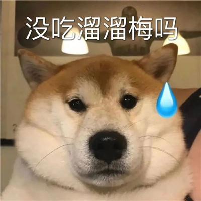 聊天斗图必胜的表情包