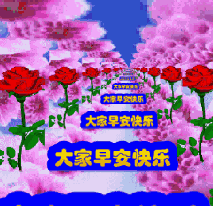 沙雕土味早安微信表情包