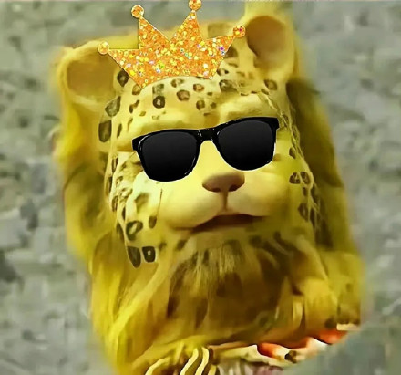 最近很火的金钱豹微信头像