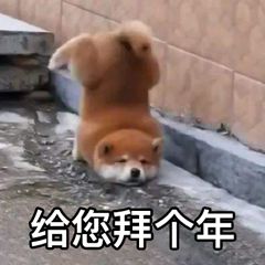 沙雕拜年微信表情包